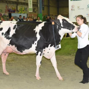 prim-holstein-terralies-saint-brieuc-2015