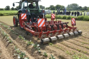 recolte-legume-industrie