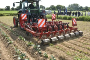 recolte-legume-industrie