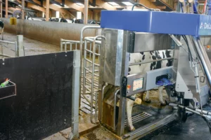 robot-delaval-lait