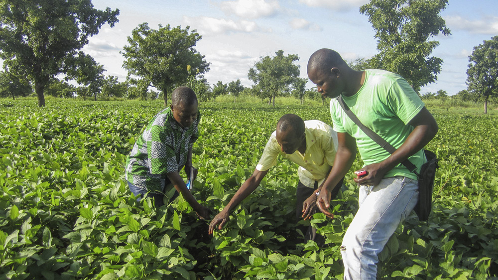 Photo of Ils créent une filière de soja au Burkina Faso
