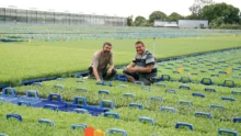 Ronan Le Mentec et Éric Guillou, chefs de culture chez Thomas Plants sur la plate-forme extérieure de 6 ha couverte de plants de choux prêts à être livrés chez les producteurs.