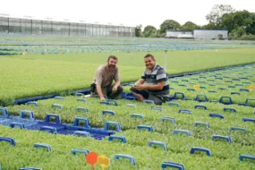 Ronan Le Mentec et Éric Guillou, chefs de culture chez Thomas Plants sur la plate-forme extérieure de 6 ha couverte de plants de choux prêts à être livrés chez les producteurs.