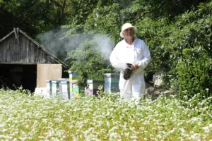 apiculture-saint-malo-domaine-houbarderie