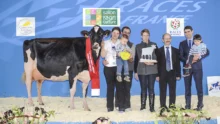 concours-bovin-bretagne