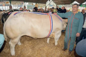 concours-qualite-viande-bovine