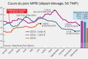 cours-porc