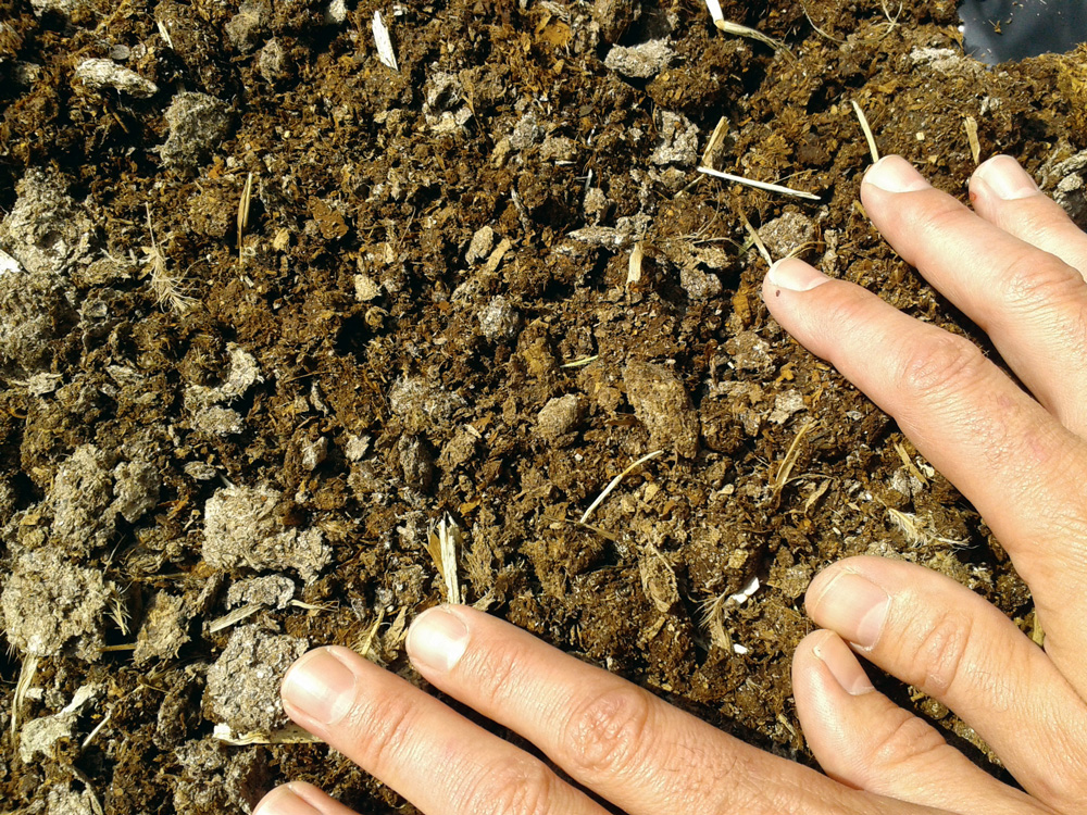 fertilisants-organiques - Illustration Le point sur les fertilisants organiques