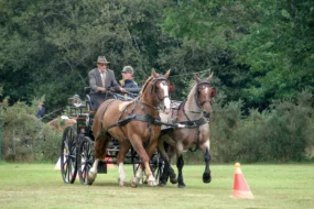 galop-du-coeur-cheval