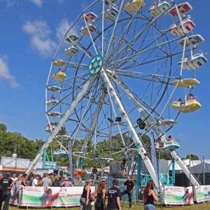 La roue tourne mais il est une constante : l’engouement du public pour les Vieilles Charrues