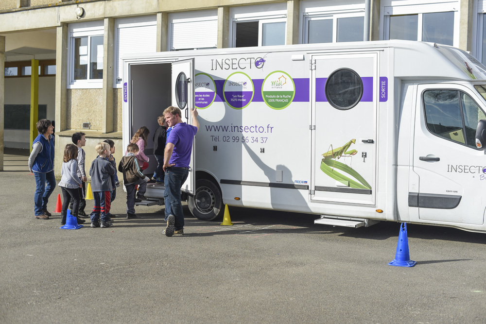 insectobus - Illustration Les insectes prennent le bus pour l’école