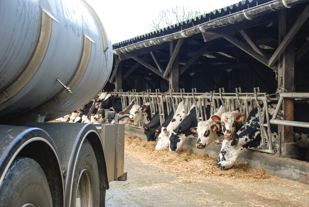 lait-mesure-crise - Illustration Lait : le Parlement européen demande des mesures de crise, Bruxelles refuse