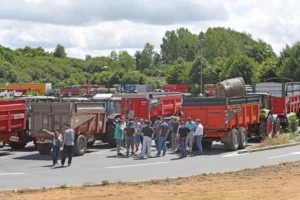 manifestation-agriculteur-crise-porc-lait