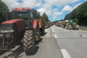 manifestation-eleveurs-breton-crise