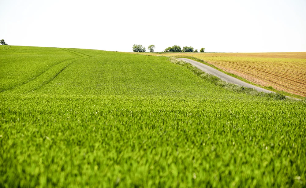 mesures-agroenvironnementales-climatiques-maec - Illustration Les paiements 2018 des MAEC et des aides à l’agriculture bio ont commencé