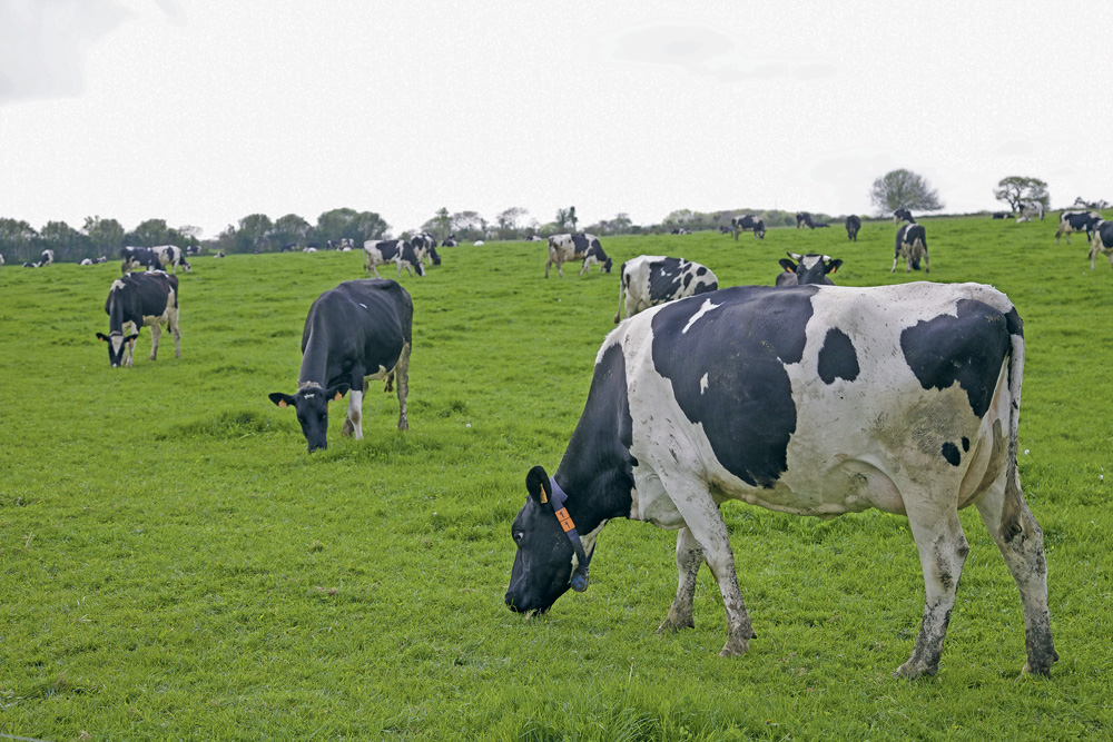 Photo of Pac 2015, un impact plus ou moins fort selon les systèmes laitiers