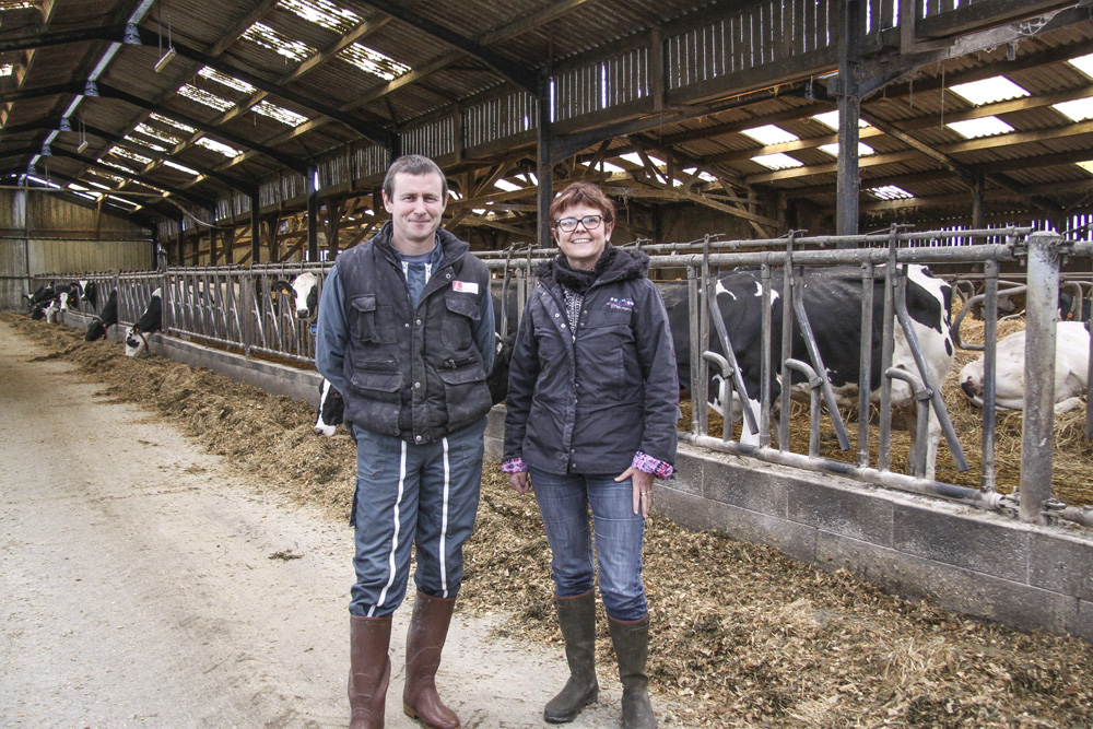 patrick-le-blevennec-josette-clement-pediluve-dermatite-vache-laitiere - Illustration La prévention avec un pédiluve à sec