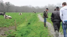 paturage-chemin-herbe