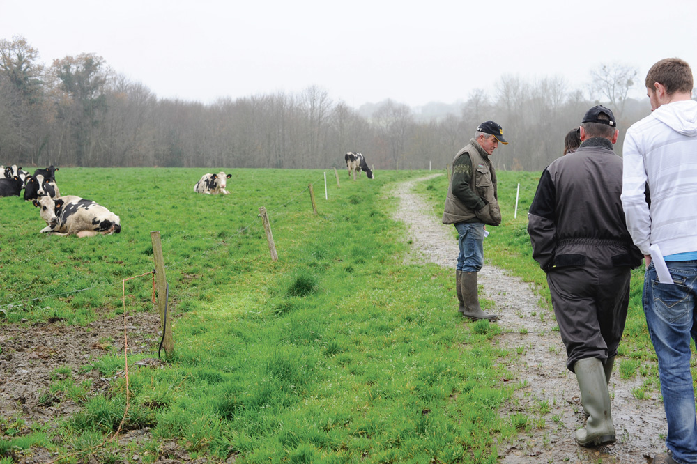 paturage-chemin-herbe - Illustration Tous les chemins mènent à l’herbe