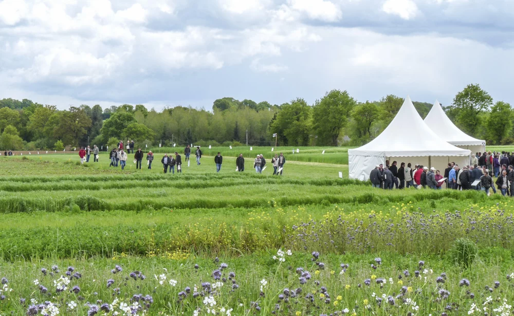 planete-positive-noyal-pontivy - Illustration Planète Positive 2015 l’AEI sera à Noyal-Pontivy le 9 juin