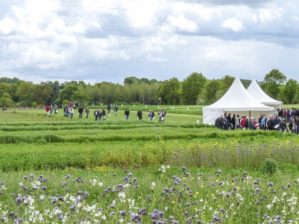Photo of Planète Positive 2015 l’AEI sera à Noyal-Pontivy le 9 juin