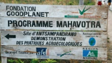projet-biodiversite-agroforesterie-madagascar