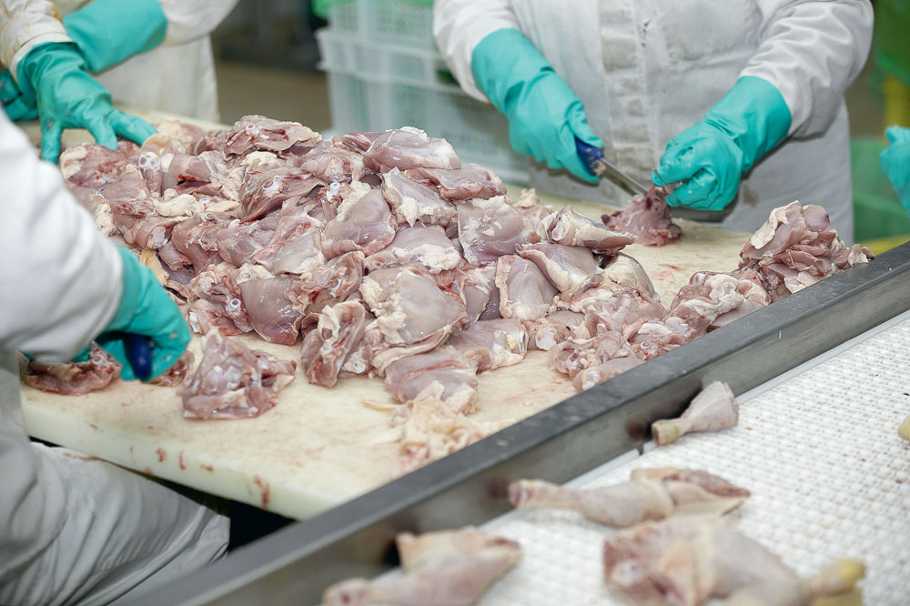 Photo of Le poulet espagnol confronté à des prix bas et à une offre excédentaire