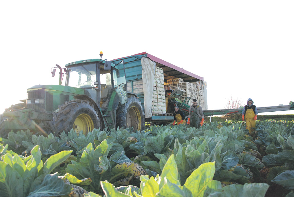 commission-europeenne-decision-russie-fruit-legume - Illustration Fruits et légumes : suspension des mesures d’urgence