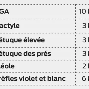 Composition des prairies