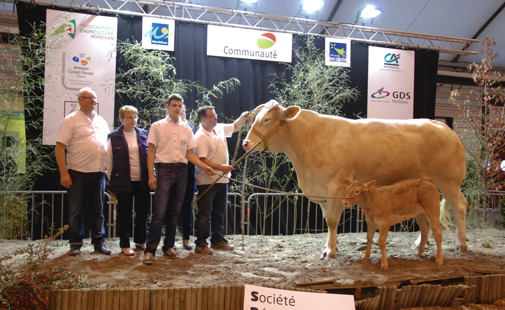 concours-blonde-aquitaine-ohhh-la-vache - Illustration Ohhh la vache : Clarinette donne le « la »