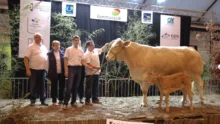 concours-blonde-aquitaine-ohhh-la-vache