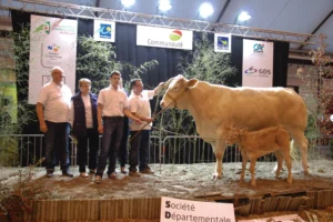 concours-blonde-aquitaine-ohhh-la-vache