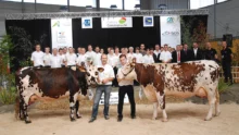 concours-normand-pontivy