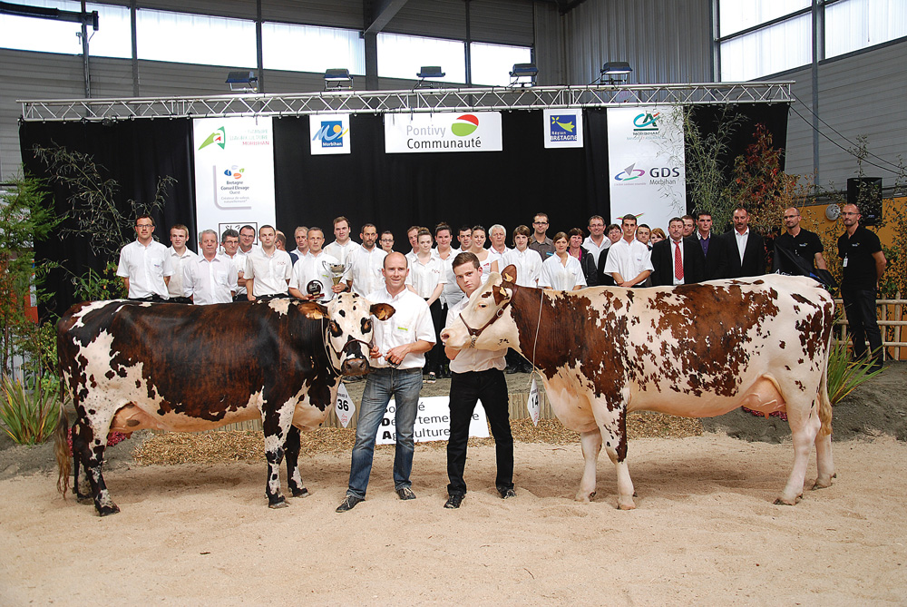 concours-normand-pontivy - Illustration La belle Histoire du concours normand