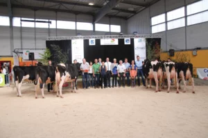 concours-prim-holstein-ohhh-la-vache