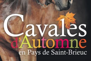 concours-st-brieuc-yffiniac-cavale-d-automne