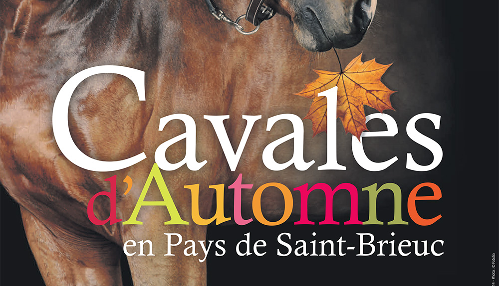 concours-st-brieuc-yffiniac-cavale-d-automne - Illustration Les Cavales d’Automne remplissent l’agenda des amoureux du cheval