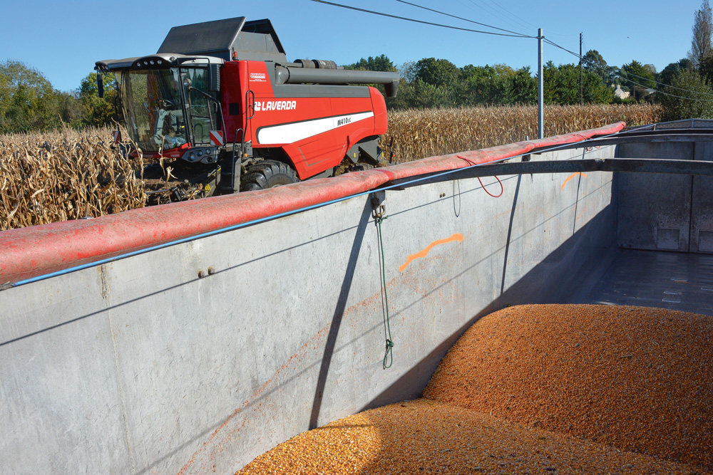 cotation-basse-cereale-mais - Illustration La Bretagne est aussi une terre de maïs grain