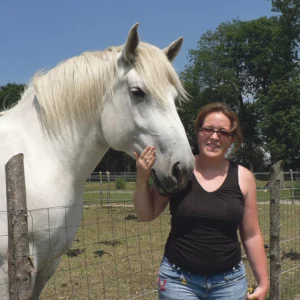 Chevaux de trait, de selle, et poney Shetland composent la base de l'élevage