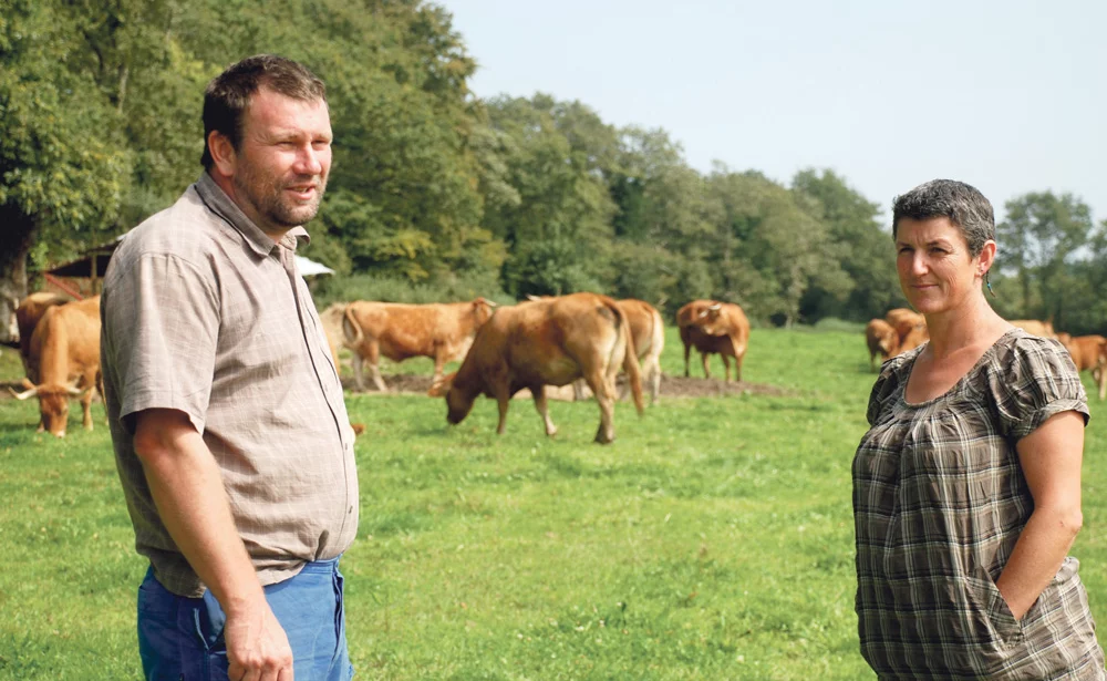 earl-bernard-marchesseau-viande-bovine-syteme-allaitant - Illustration La simplicité d’un système allaitant à l’EARL Bernard-Marchesseau