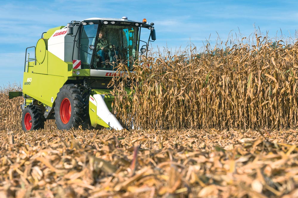 ensileuse-claas-chtite - Illustration Le maïs, la plante du XXIe siècle
