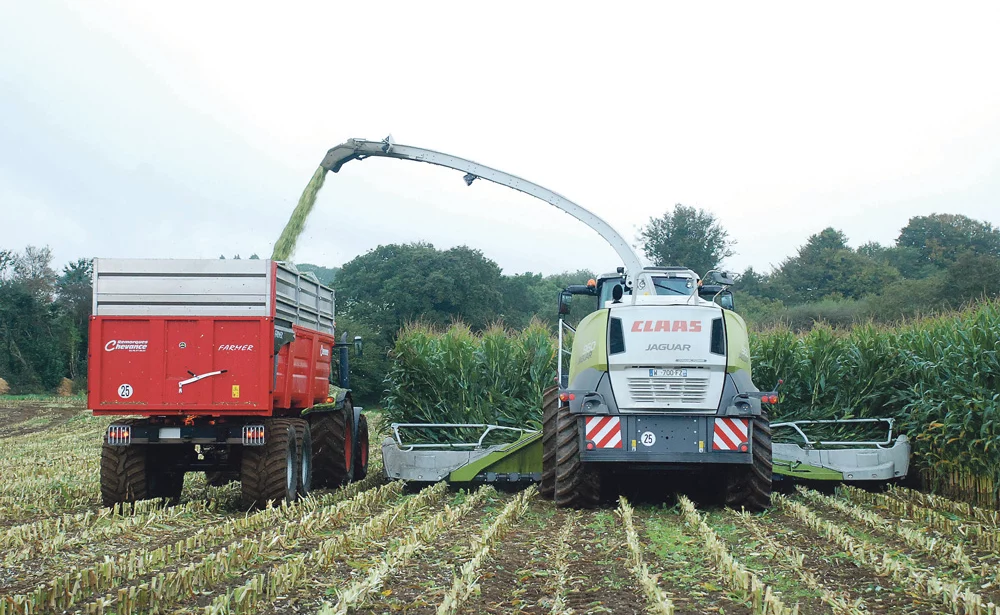 ensileuse-demonstration-elliant-claas - Illustration À Elliant, l’ensileuse tient le rang