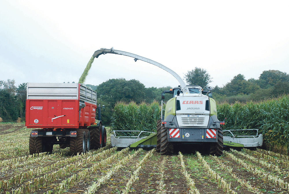 ensileuse-demonstration-elliant-claas - Illustration À Elliant, l’ensileuse tient le rang