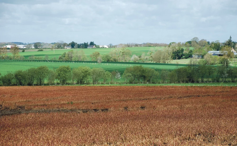 environnement-desherbant-glyphosate - Illustration La France votera contre l’autorisation de renouvellement du glyphosate