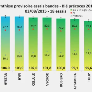 Blés précoces : les hybrides en tête