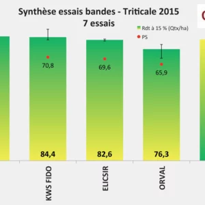 Triticale : les écarts sont faibles
