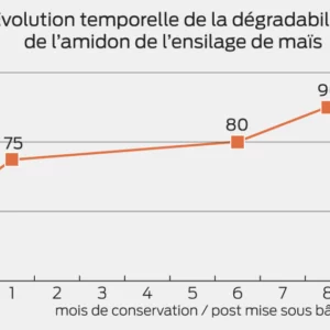 Évolution temporelle de la dégradabilité de l'amidon de l'ensilage de maïs