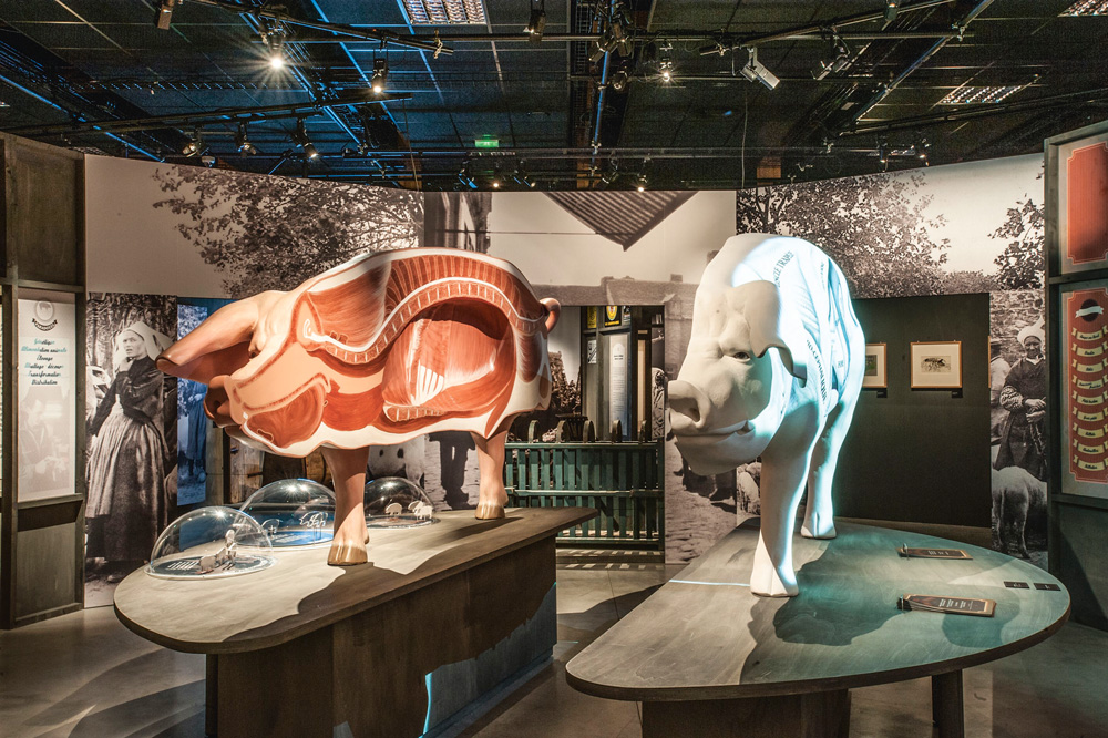 exposition-cochon-histoire-bretonne-ecomusee-pays-rennes - Illustration Dernier week-end sur le cochon