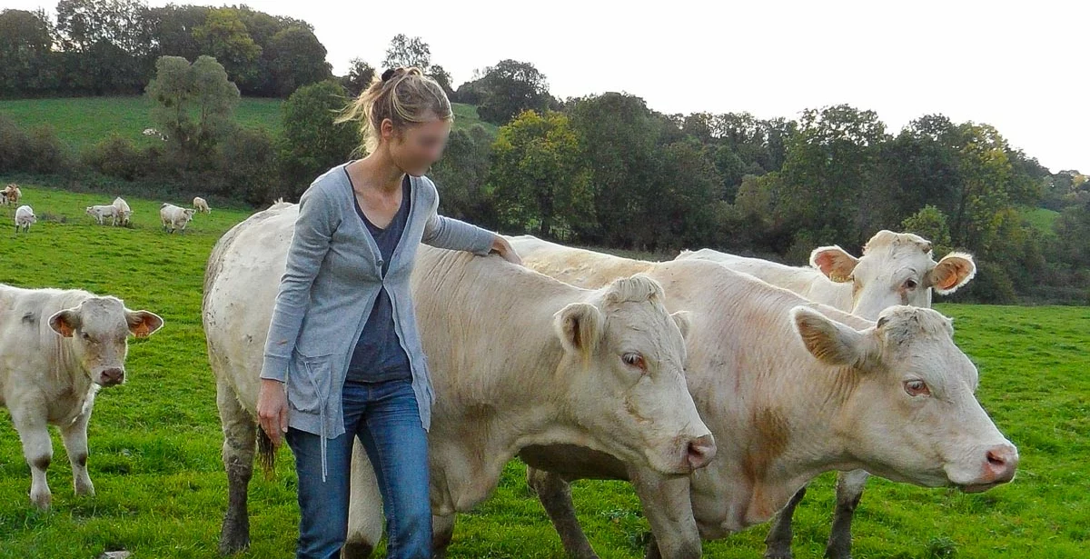 femme-agricultrice-vache - Illustration Les agricultrices FDSEA et JA du Finistère interpellent les élus