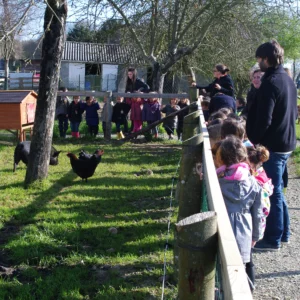 Lors d'une visite à la ferme de l'école de Trévérien, en mars dernier